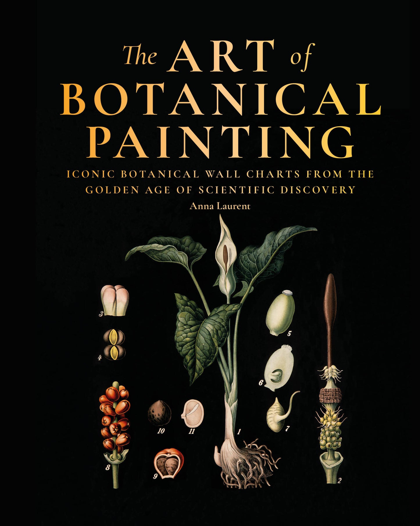 The Art of Botanical Painting