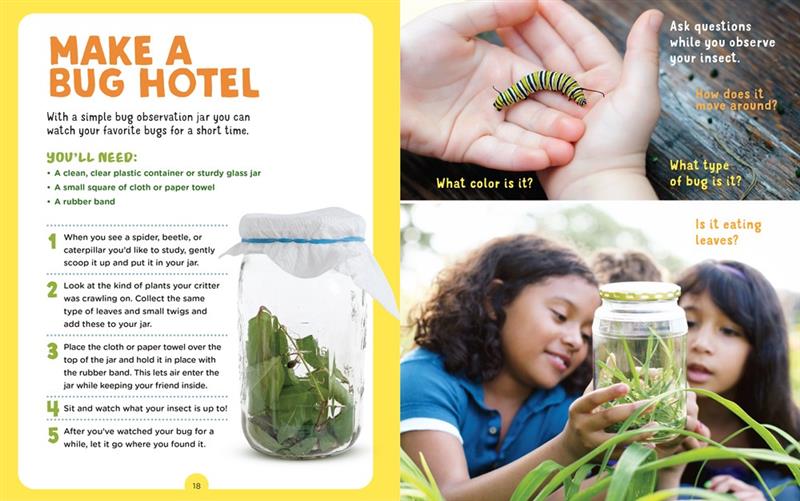 Backpack Explorer : Chasse aux insectes