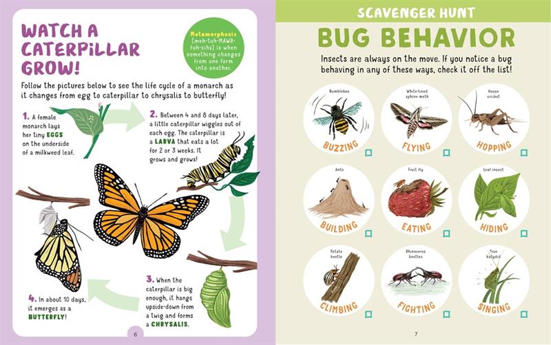 Backpack Explorer : Chasse aux insectes