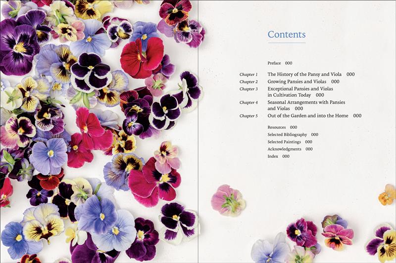 Pansies