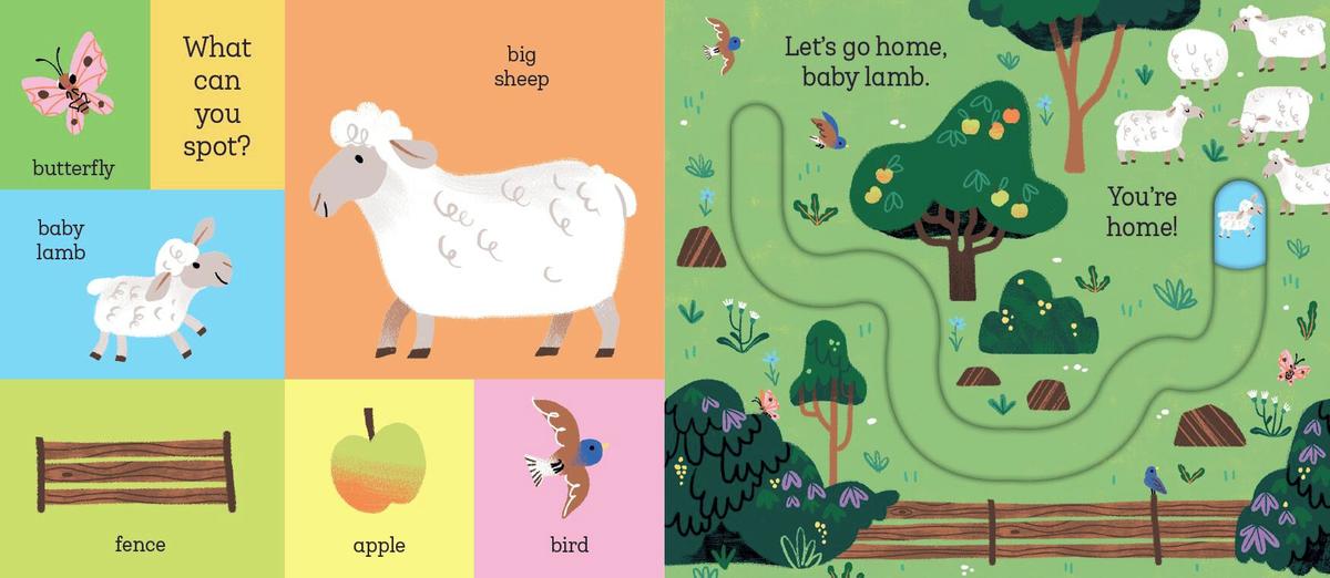 Let's Go Home, Baby Chick!