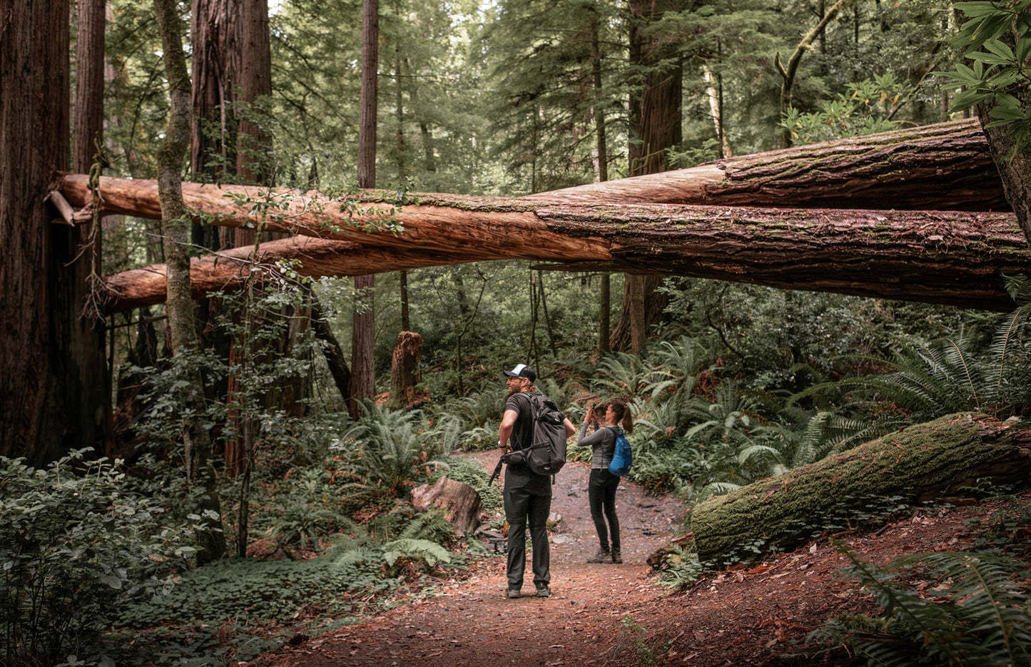 Wanderlust: Best Day Hikes