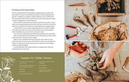 The Beginner’s Cut Flower Garden