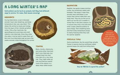 Backpack Explorer: Winter Walk