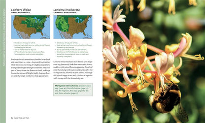 Plant This, Not That