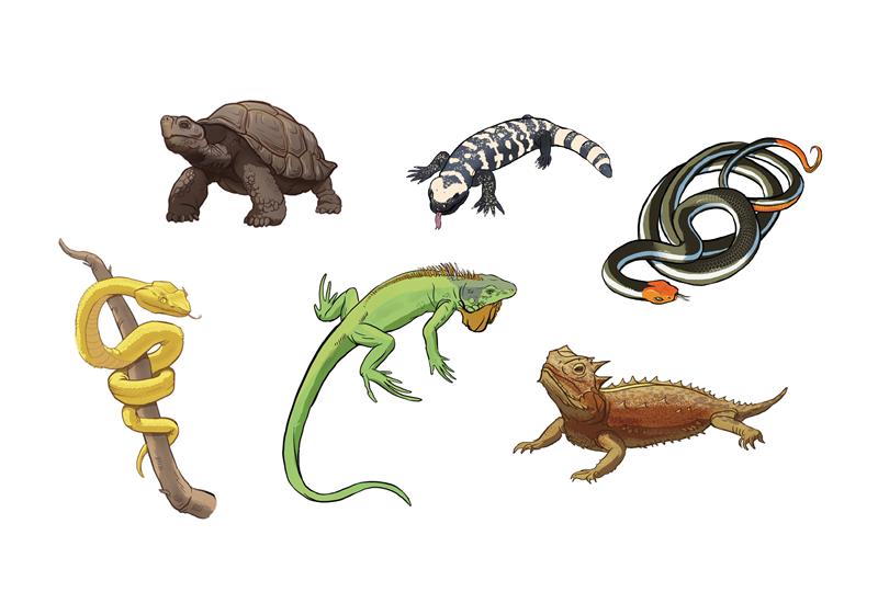 Slithering, Scaly Tattoo Snakes & Other Reptiles