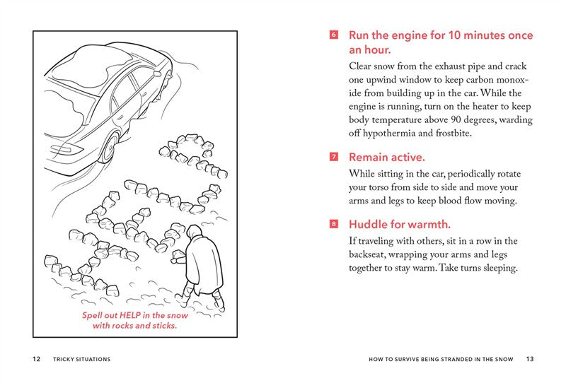 The Worst-Case Scenario Pocket Guide: Driving
