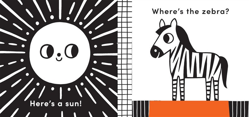 Baby's First Cloth Book: Cuddly Lion