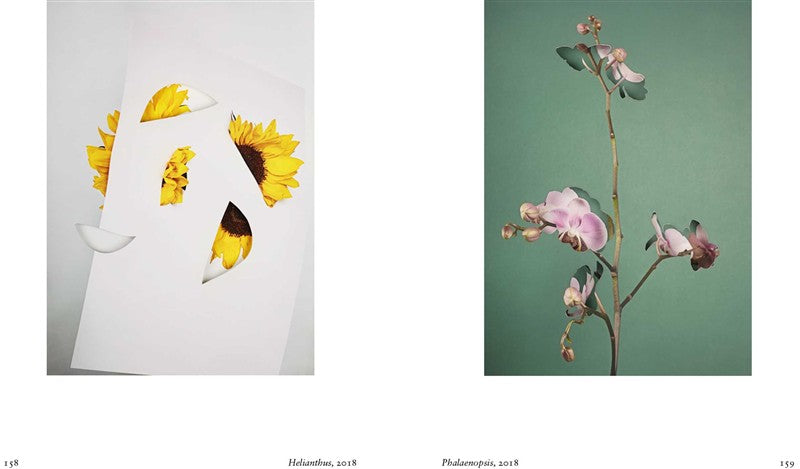 New Photography of the Flower.