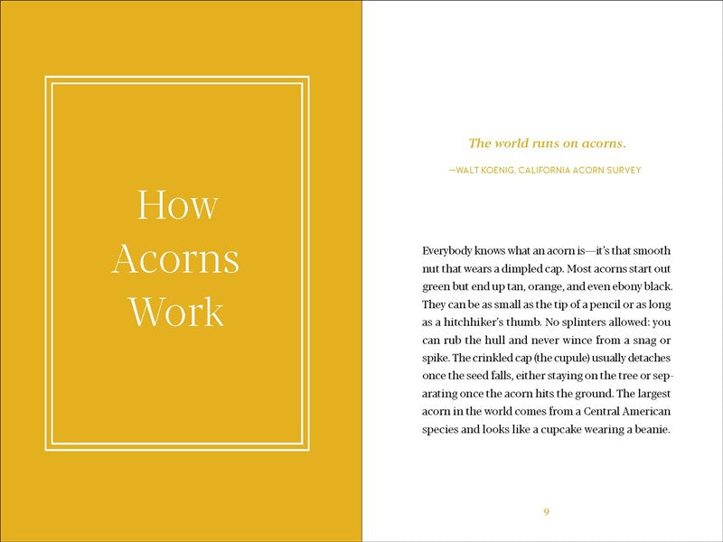 Acorns