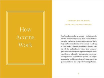 Acorns