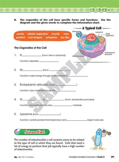 Complete Canadian Curriculum 8 (Revised &amp; Updated)