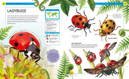 Bugs: A Spotter's Guide