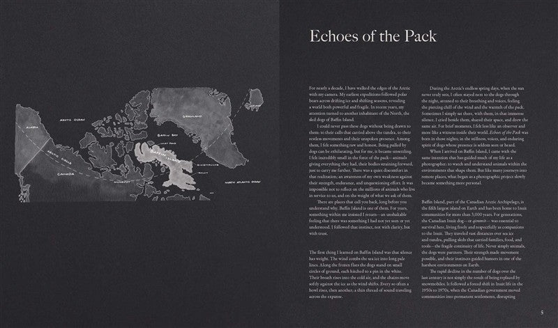 Echoes of the Pack