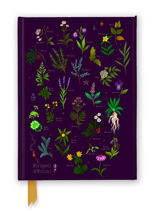 Anna Stead: For Spells &amp; Potions (Foiled Journal)