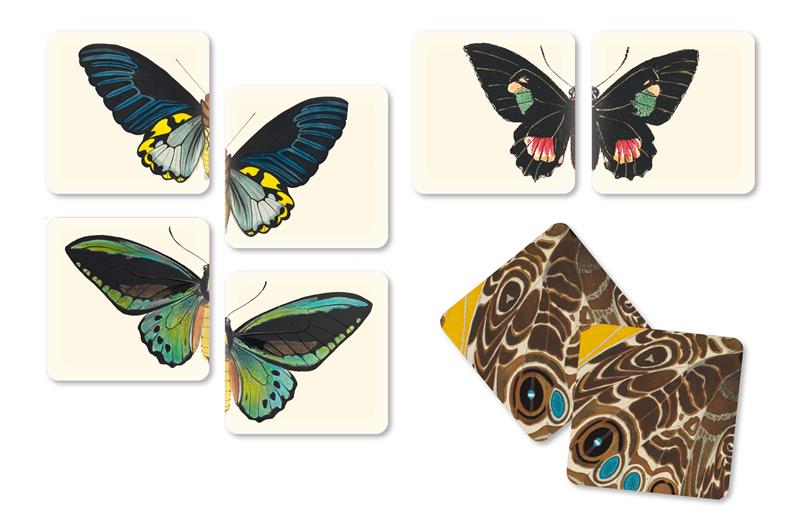 Brilliant Butterflies Matching Game