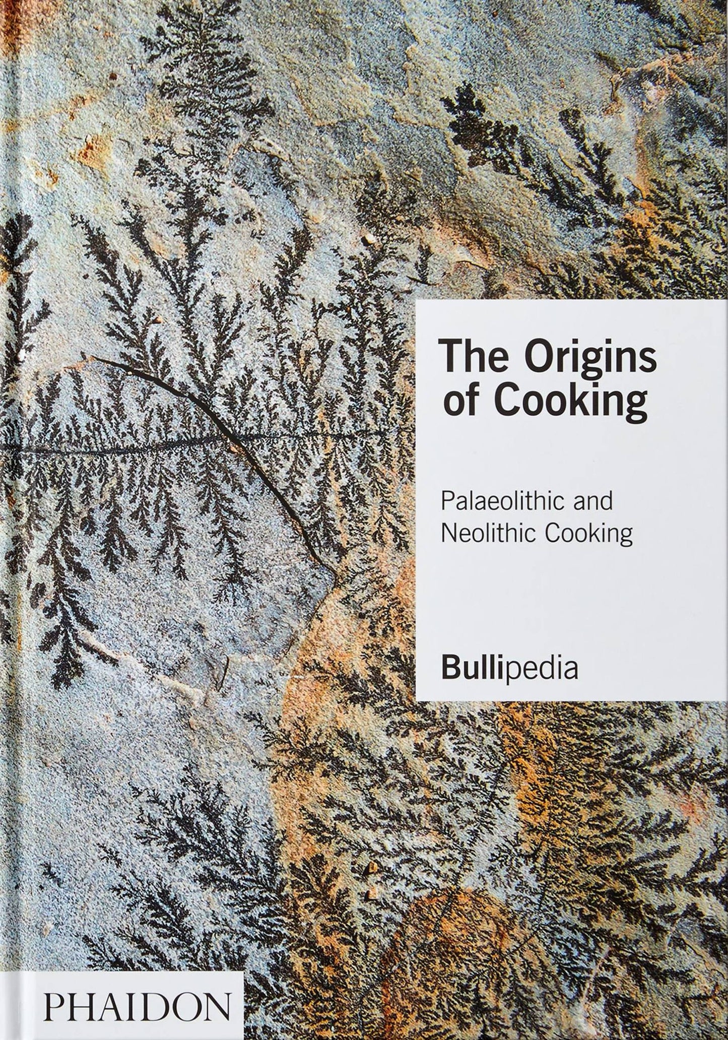 The Origins of Cooking