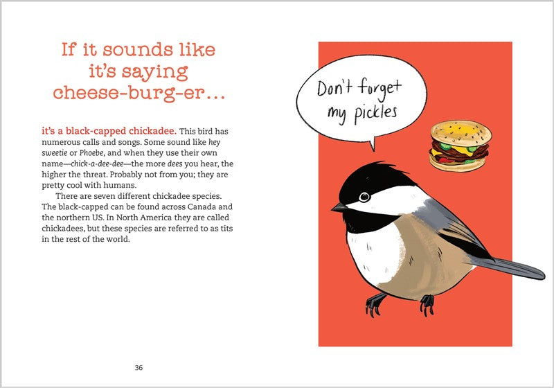 Bird Talk