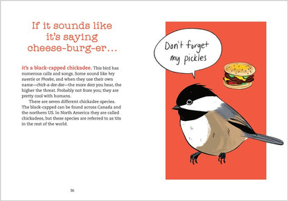 Bird Talk