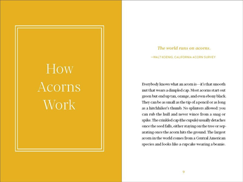 Acorns