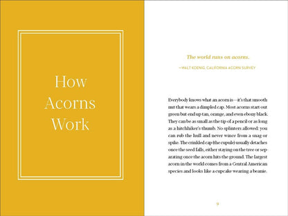 Acorns
