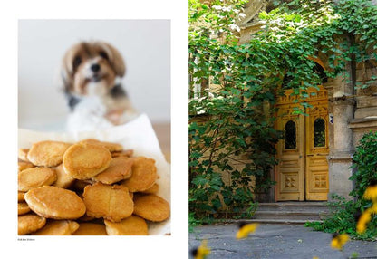 Cuisines of Odesa