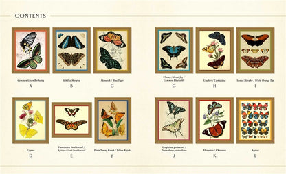 Museum Mosaics: Butterflies of the Smithsonian