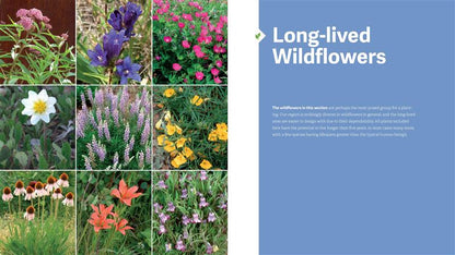 The Rocky Mountain Native Plant Primer