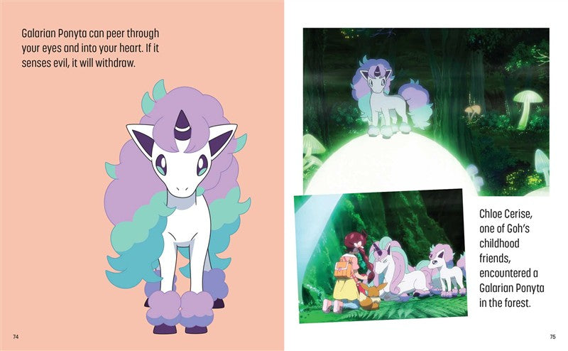 Pokémon: Trainer's Mini Exploration Guide to Galar