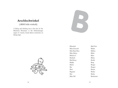 The Terrible Baby Name Book