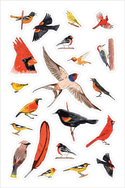 Bird Anatomy Sticker Book