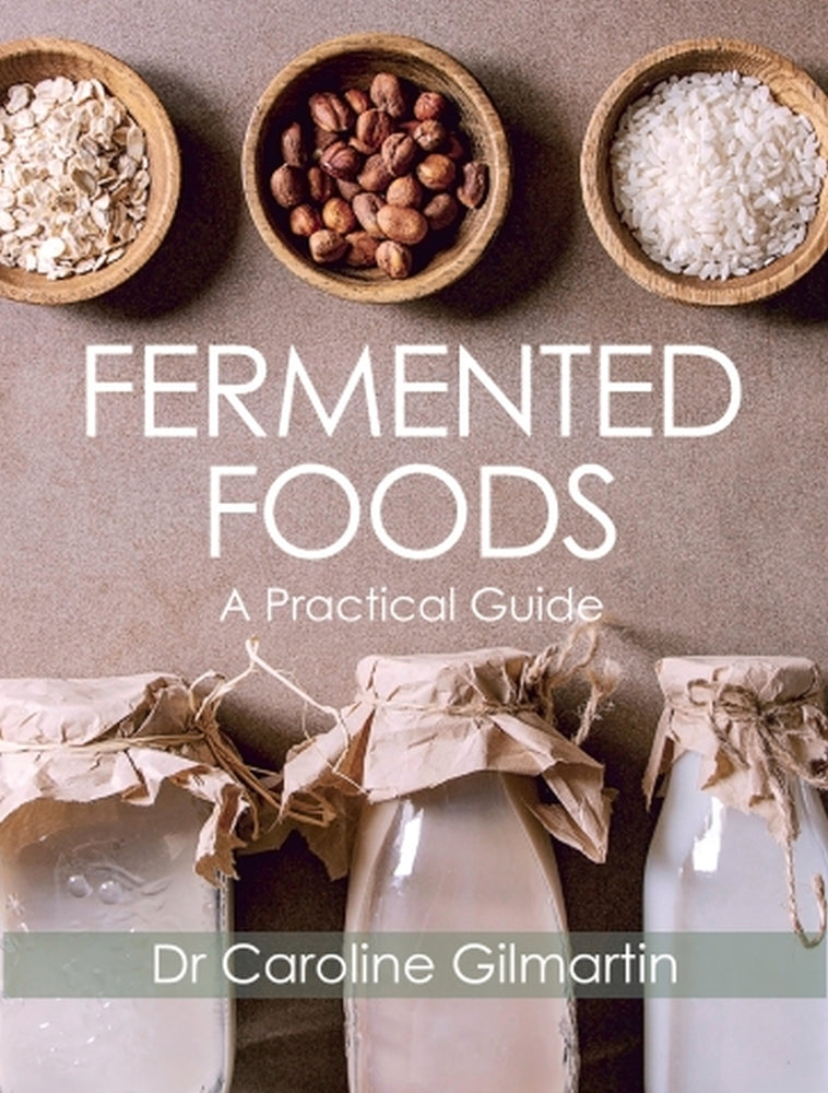 Aliments fermentés