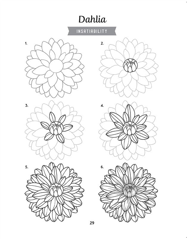 How to Draw the Language of Flowers