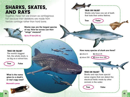 Sneaky Facts: Animal Kingdom