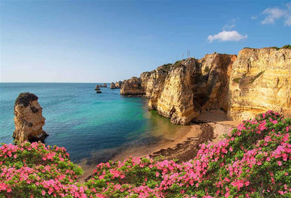 The Wildflower Travel Book