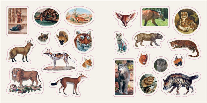 Fantastic Creatures: A Smithsonian Sticker Book