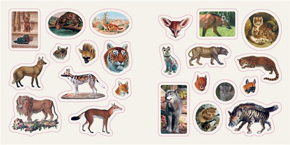 Fantastic Creatures: A Smithsonian Sticker Book