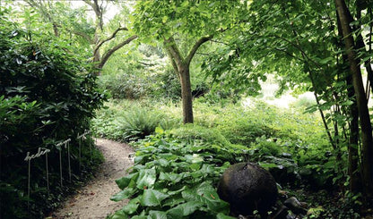 The Gardens of Mien Ruys