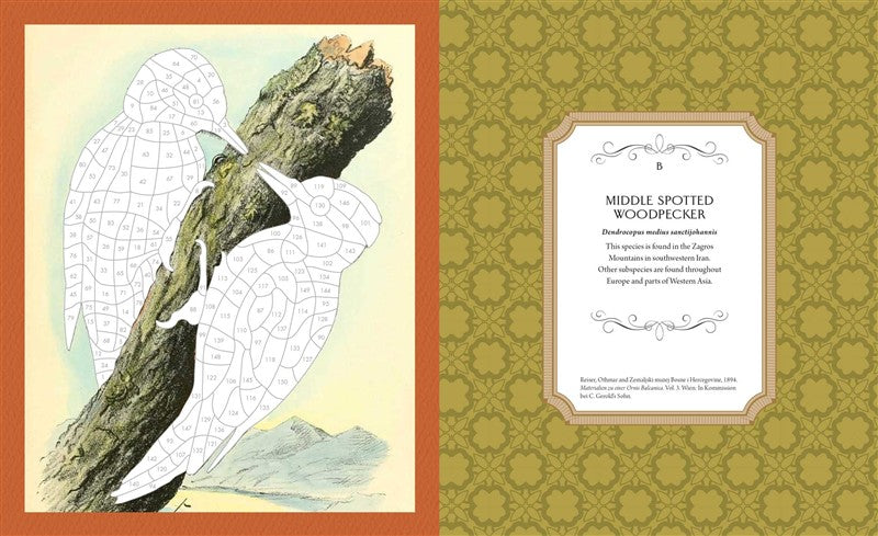 Museum Mosaics: Birds of the Smithsonian