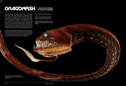 Nature Is Metal