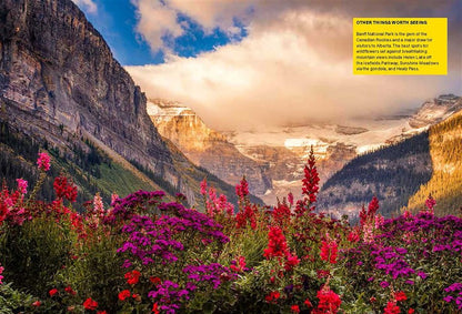 The Wildflower Travel Book