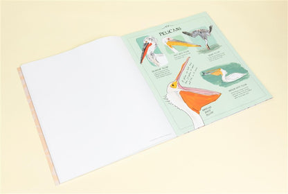 Bird Anatomy Posters