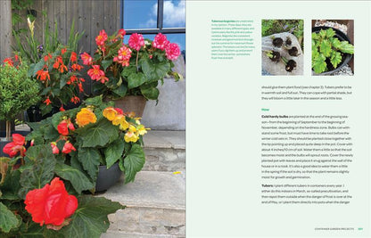 The Creative Container Garden