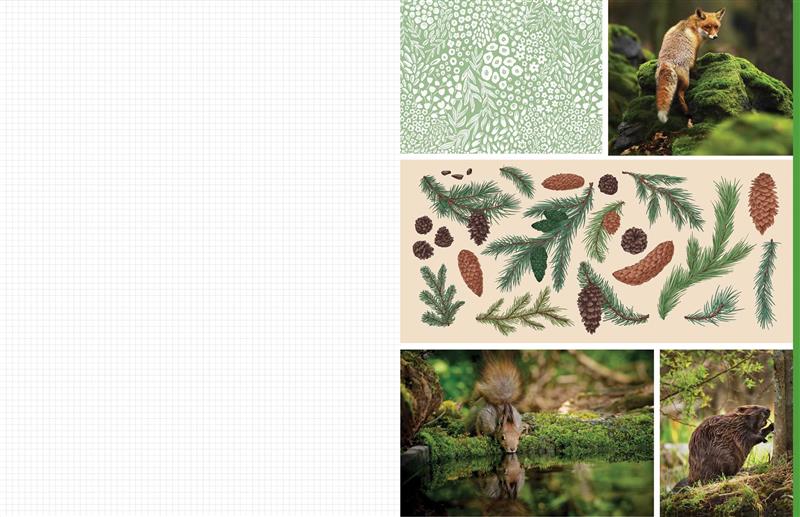 Cut &amp; Collage Woodland Creatures