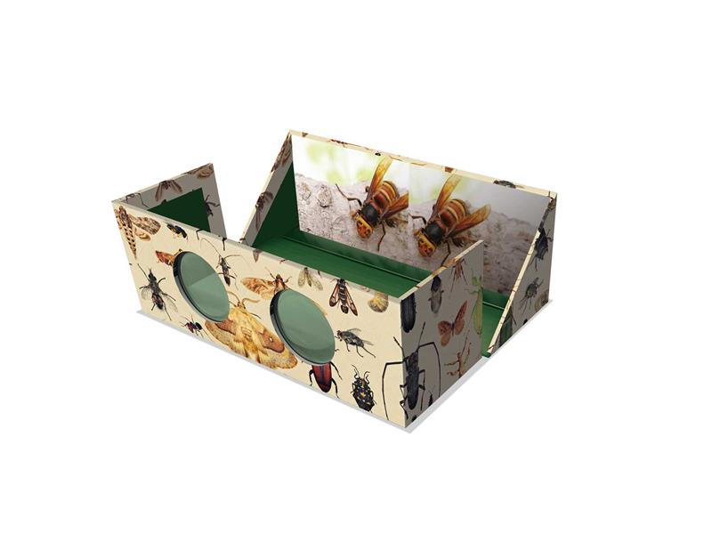 The Magnificent Box of Bugs and Insects