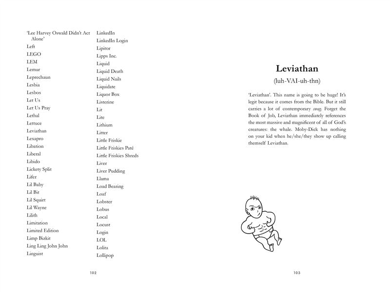 The Terrible Baby Name Book