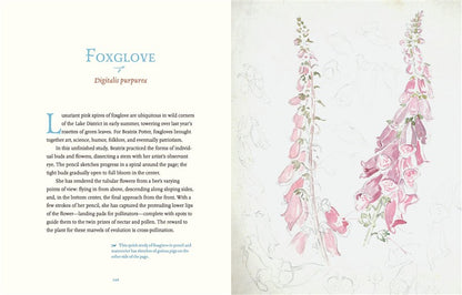 Beatrix Potter’s Botanical