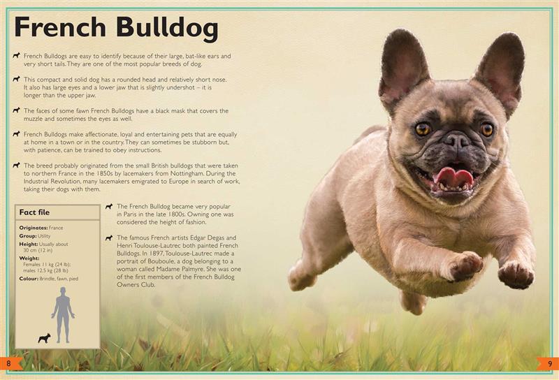The Magnificent Book of Dogs