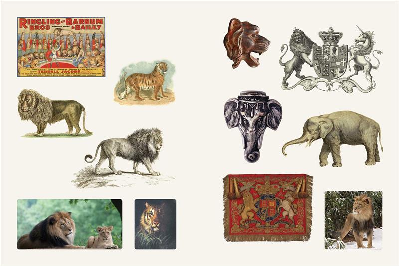 Cabinet of Curiosities II
