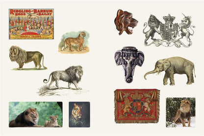 Cabinet of Curiosities II